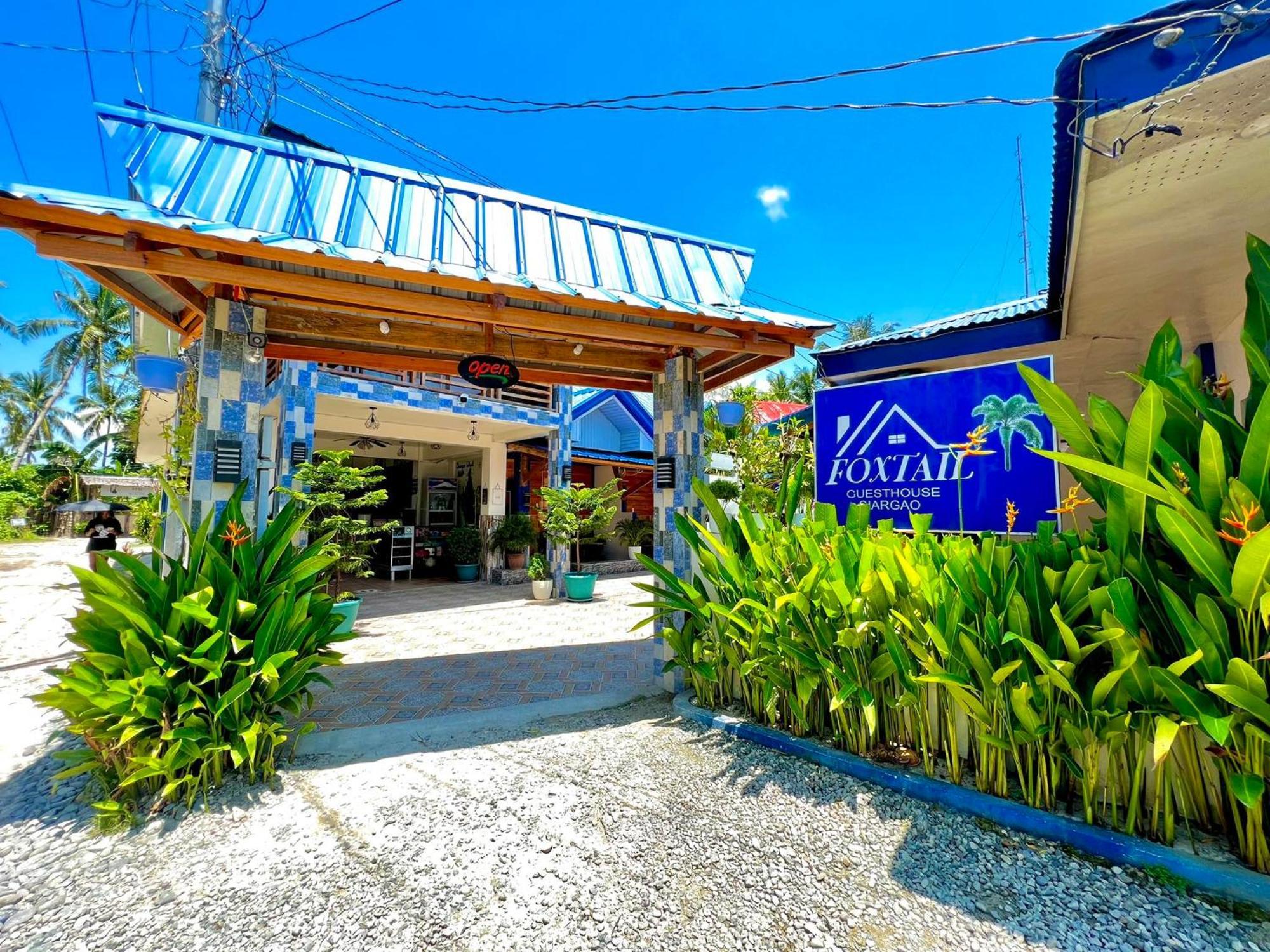 Foxtail Siargao Island Guesthouse General Luna  Εξωτερικό φωτογραφία